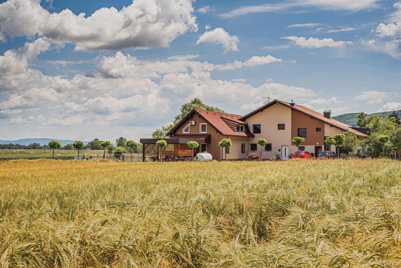 Lux Living Apartments Budic Near Terme Catez Brežice Eksteriør billede