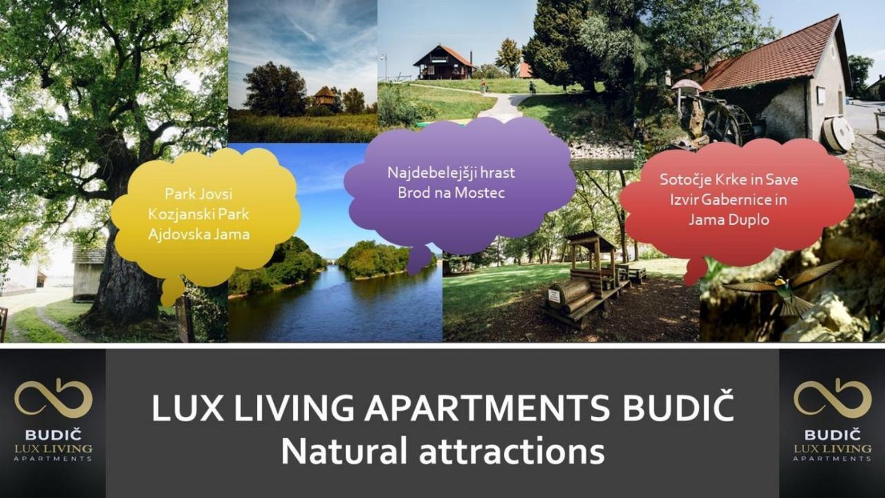 Lux Living Apartments Budic Near Terme Catez Brežice Eksteriør billede